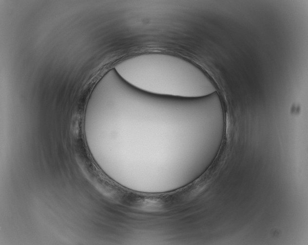 X0000115630157200911101126