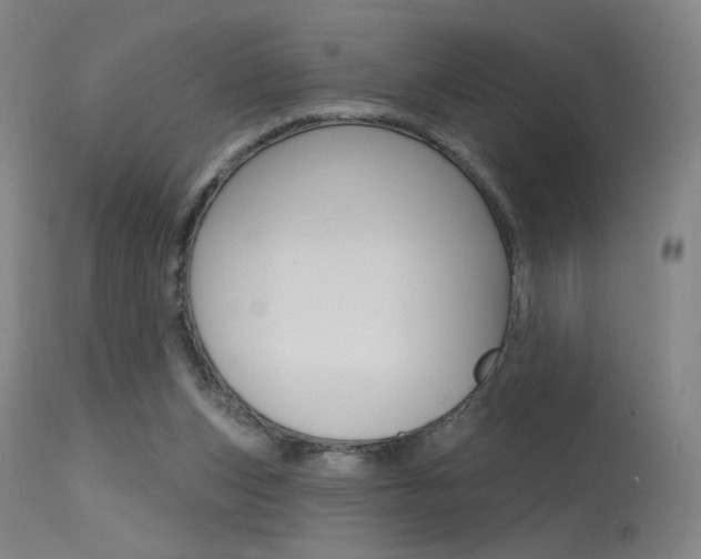 X0000115630159200911101126