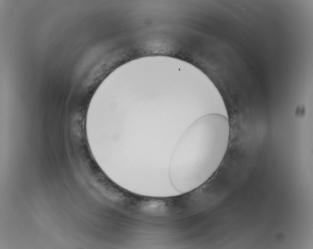 X0000115630162200911101126