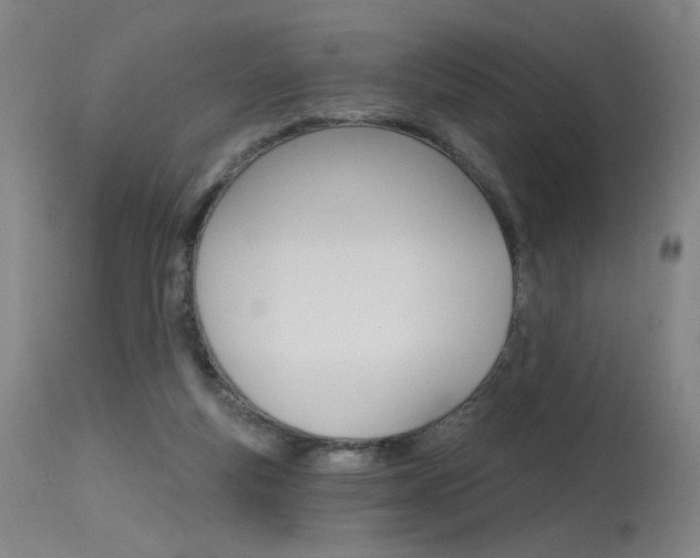 X0000115630163200911101126