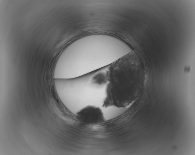 X0000115630165200911101126