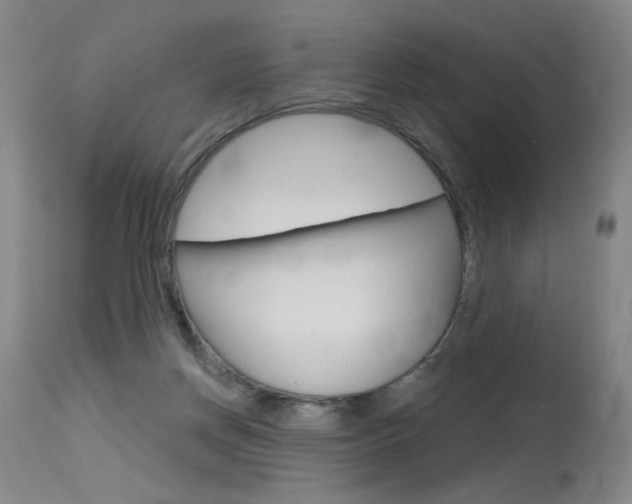X0000115630166200911101126