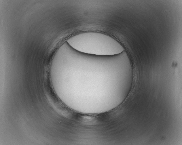 X0000115630167200911101126