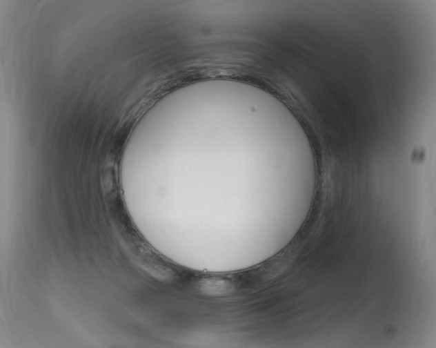 X0000115630169200911101126