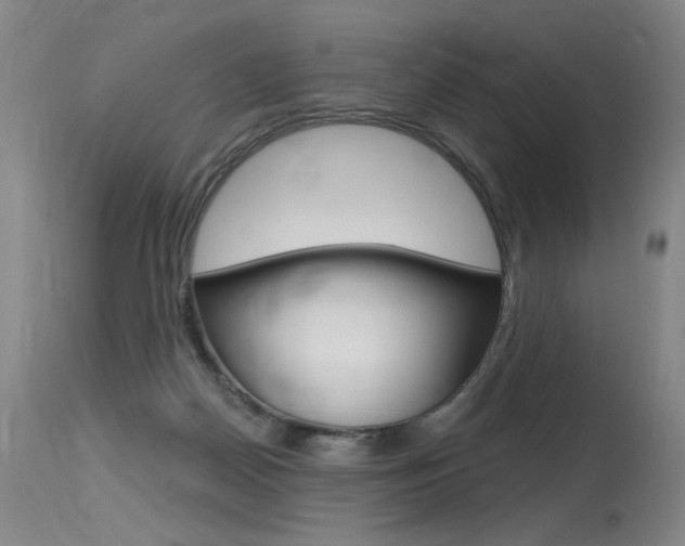 X0000115630170200911101126