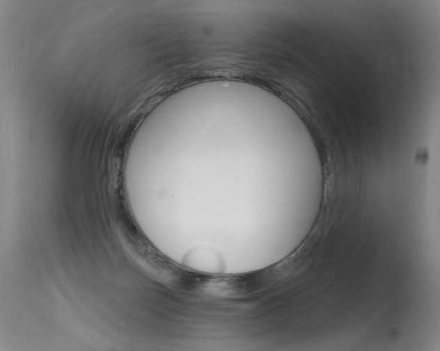 X0000115630171200911101126