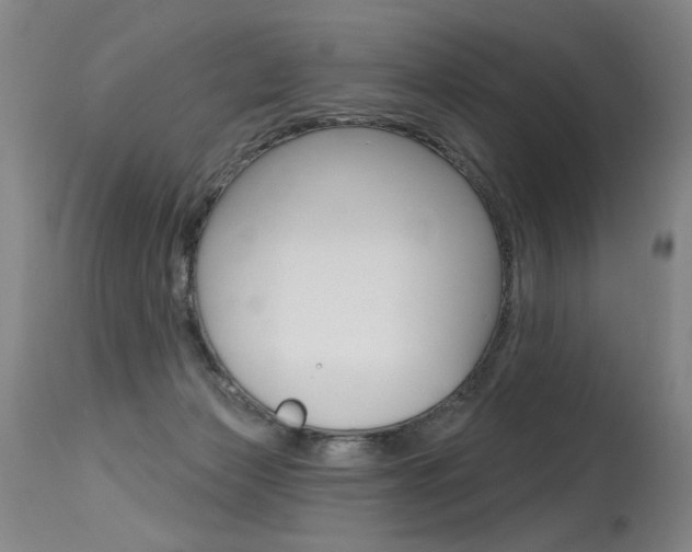 X0000115630173200911101126