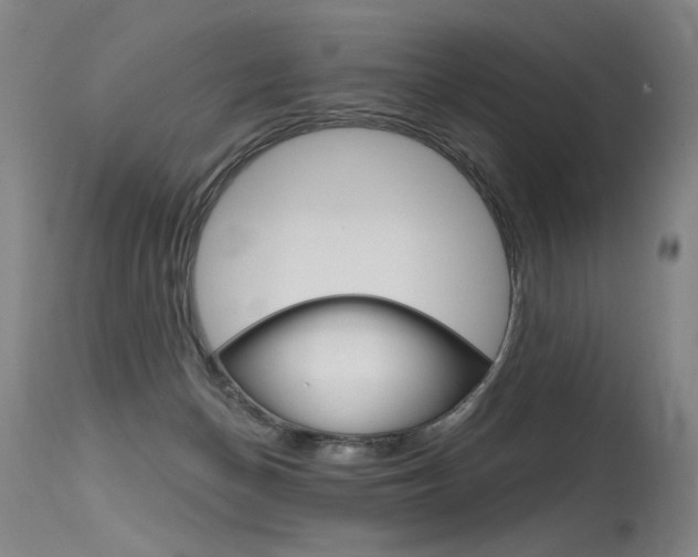 X0000115630174200911101126