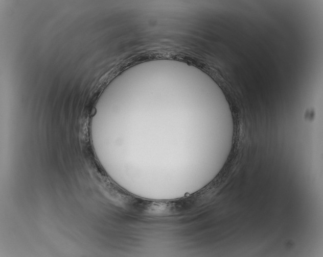 X0000115630177200911101126