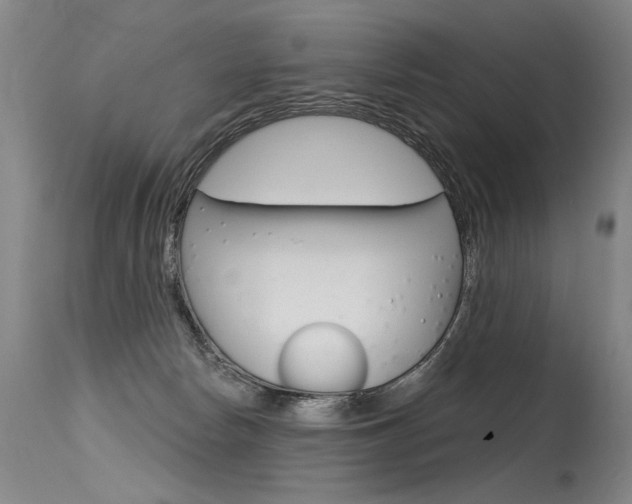 X0000115630178200911101126