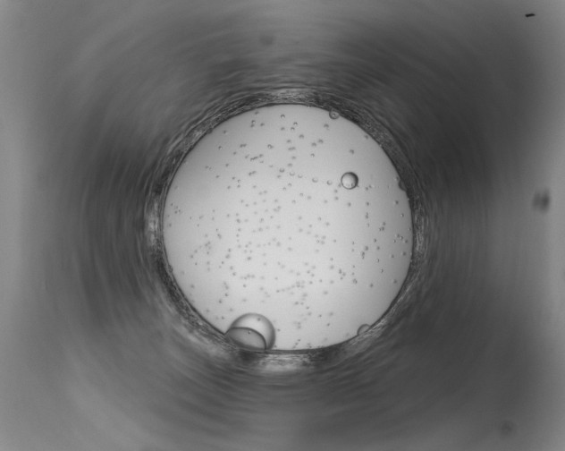 X0000115630179200911101126