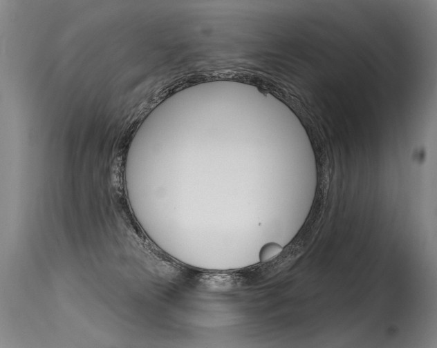 X0000115630181200911101127