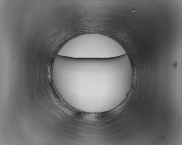 X0000115630182200911101127