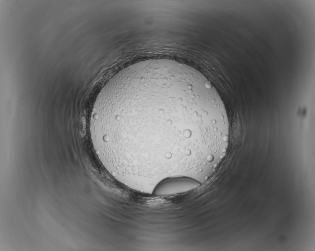 X0000115630183200911101127