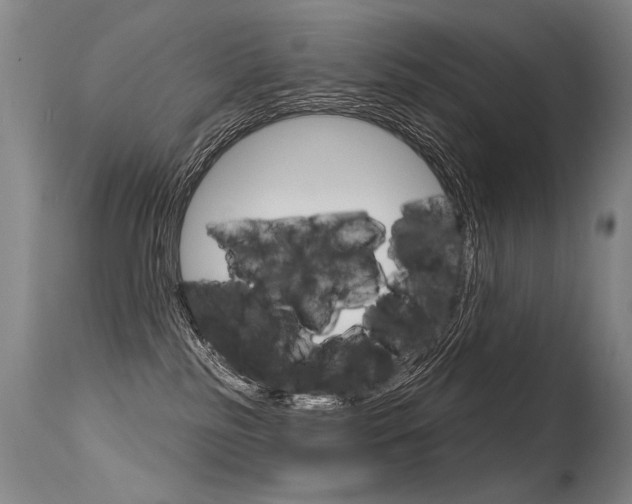 X0000115630185200911101127