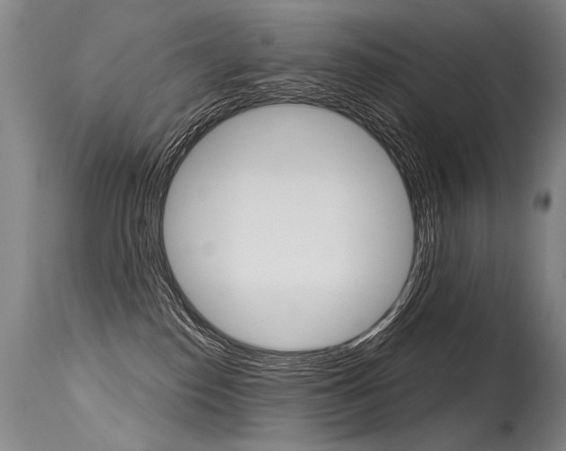X0000115630186200911101127
