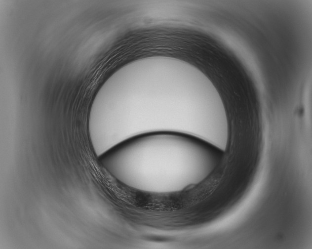 X0000115630190200911101127