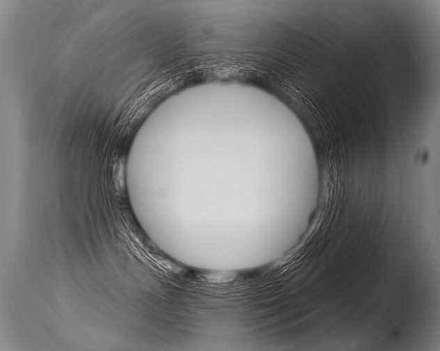 X0000115630191200911101127