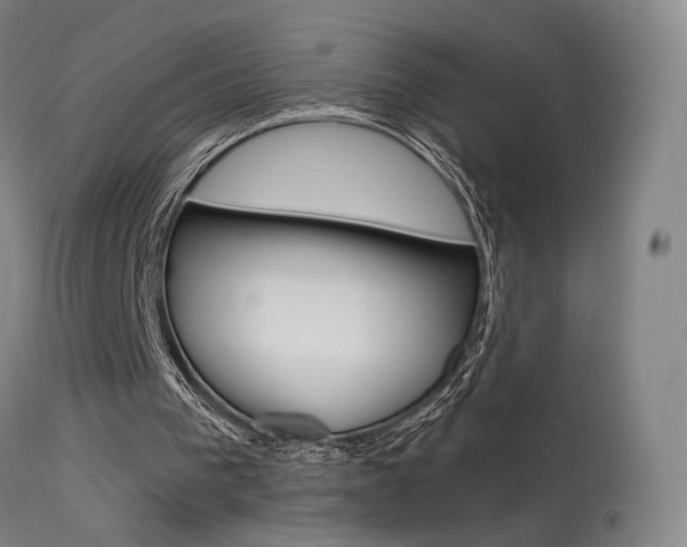 X0000115630193200911101126
