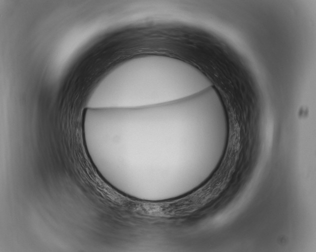 X0000115630194200911101126