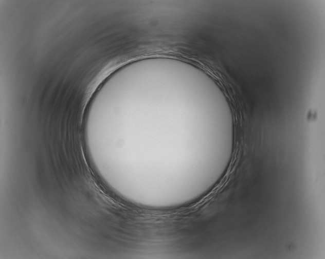 X0000115630195200911101126