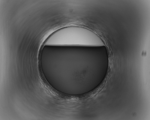 X0000115630196200911101126