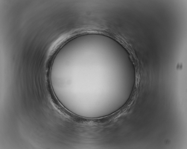 X0000115630197200911101126