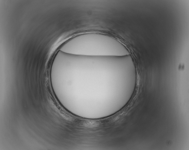 X0000115630198200911101126