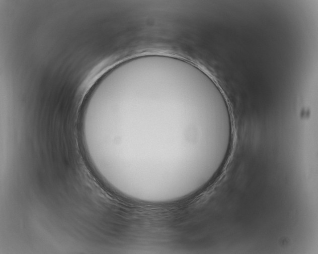 X0000115630199200911101126