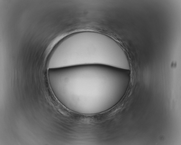 X0000115630200200911101126