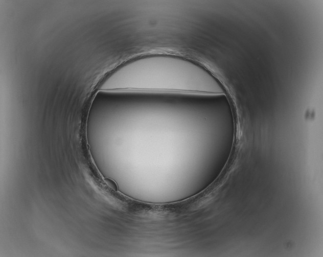 X0000115630201200911101126