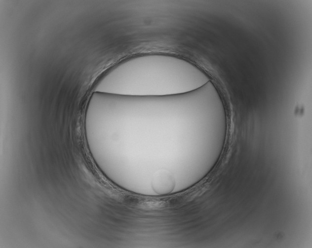 X0000115630202200911101126