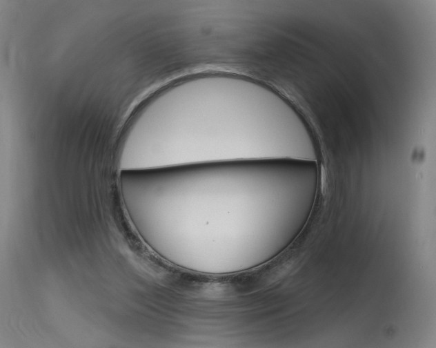 X0000115630204200911101126