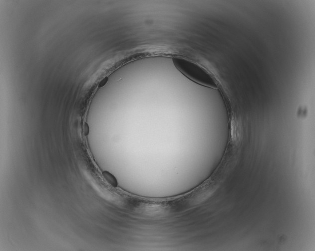 X0000115630205200911101126