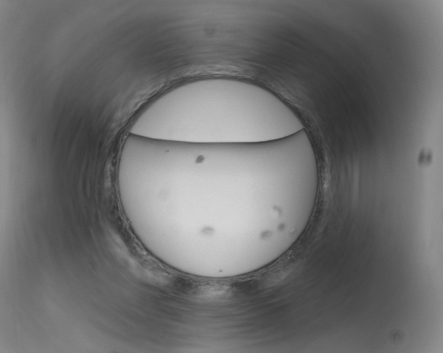 X0000115630206200911101126