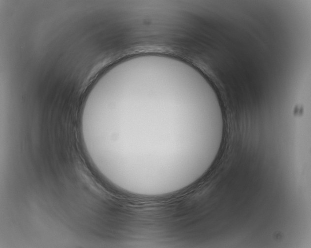 X0000115630207200911101126