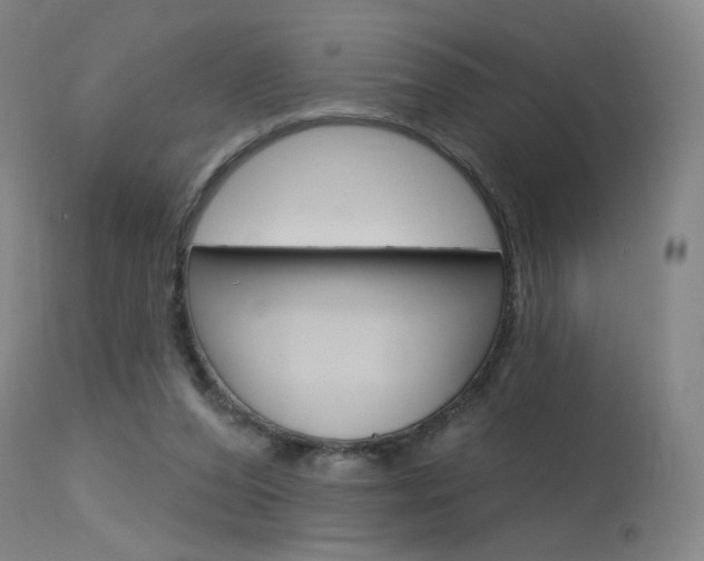 X0000115630208200911101126