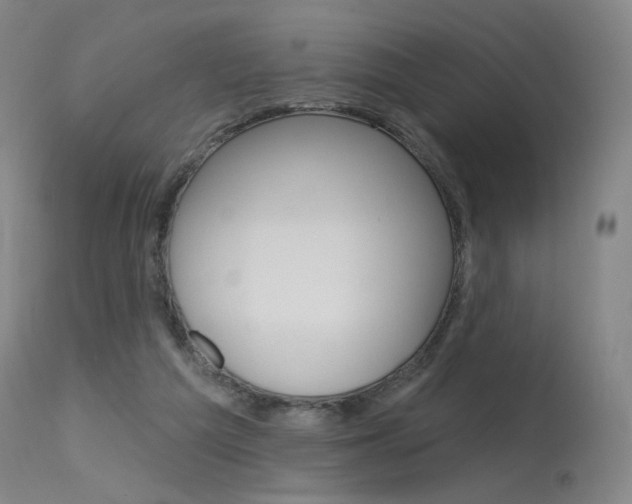 X0000115630209200911101126