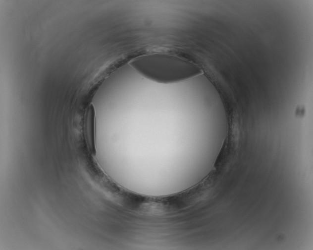 X0000115630211200911101126
