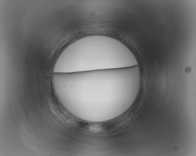 X0000115630214200911101126