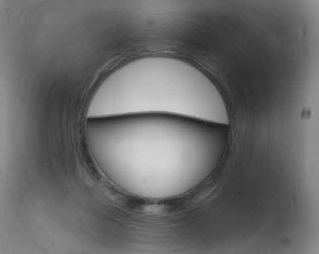 X0000115630216200911101126