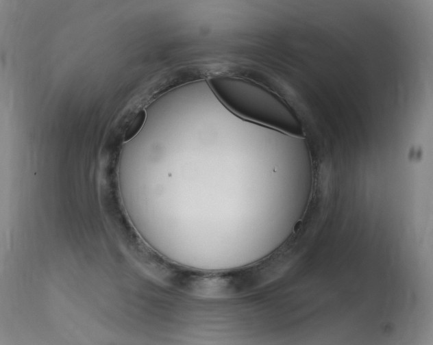 X0000115630217200911101126