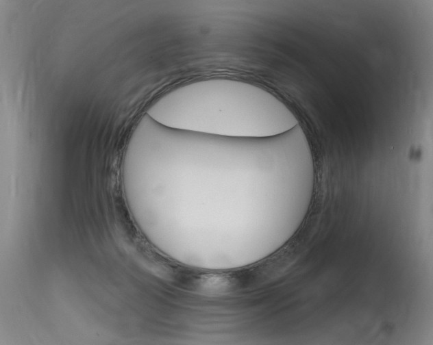 X0000115630218200911101126