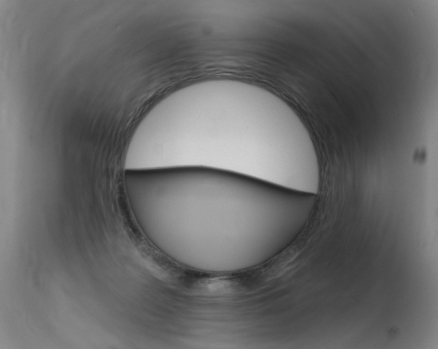 X0000115630219200911101126