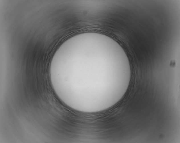 X0000115630221200911101126