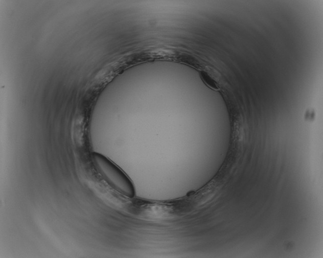 X0000115630223200911101126