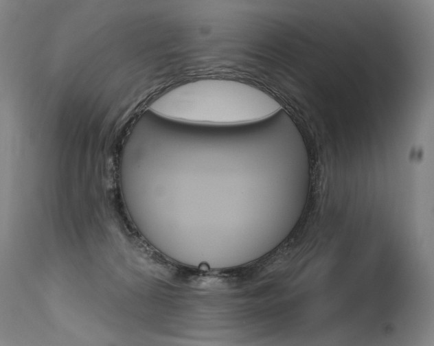 X0000115630224200911101126