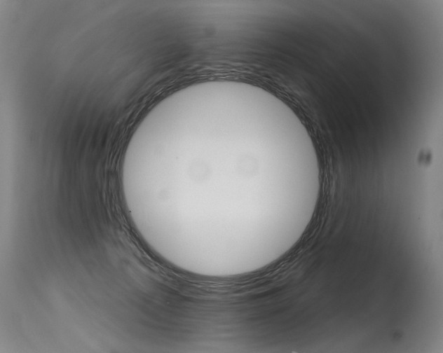 X0000115630225200911101126