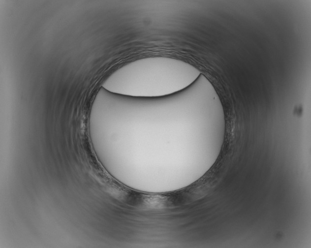 X0000115630226200911101126