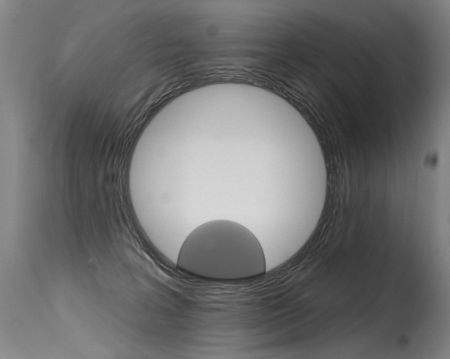 X0000115630227200911101126